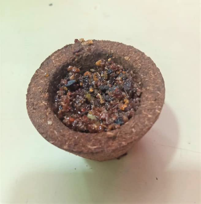 Organic Cow Dung Guggal Dhoop Cup for Home Office Pooja Spiritual Use | Dhoop Cup for Aromatherapy