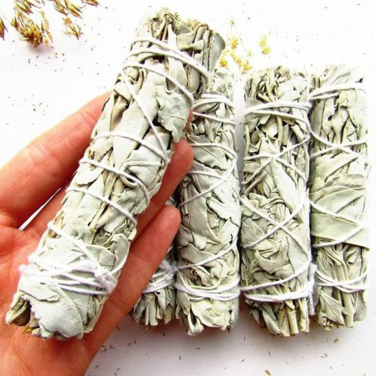 California Sage Smudge Bundle 28 Grams - 4 Inch Sage Sticks for Remove Negativity, Cleanses the Air