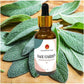 Sage Diffuser Fragrance Oil 10 ML for Home Office Spa Living Room 100% Pure and Natural Essentials Scented Oils for Aromatherapy