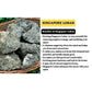 Singapore Loban Natural 100% Organic Incense Resin for Home Fragrance |Gum Benzoin for Aromatherapy & Air Purifying Sambrani Loban Dhoop for Daily Use