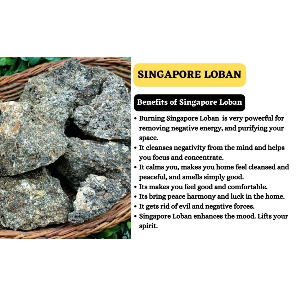 Singapore Loban Natural 100% Organic Incense Resin for Home Fragrance |Gum Benzoin for Aromatherapy & Air Purifying Sambrani Loban Dhoop for Daily Use