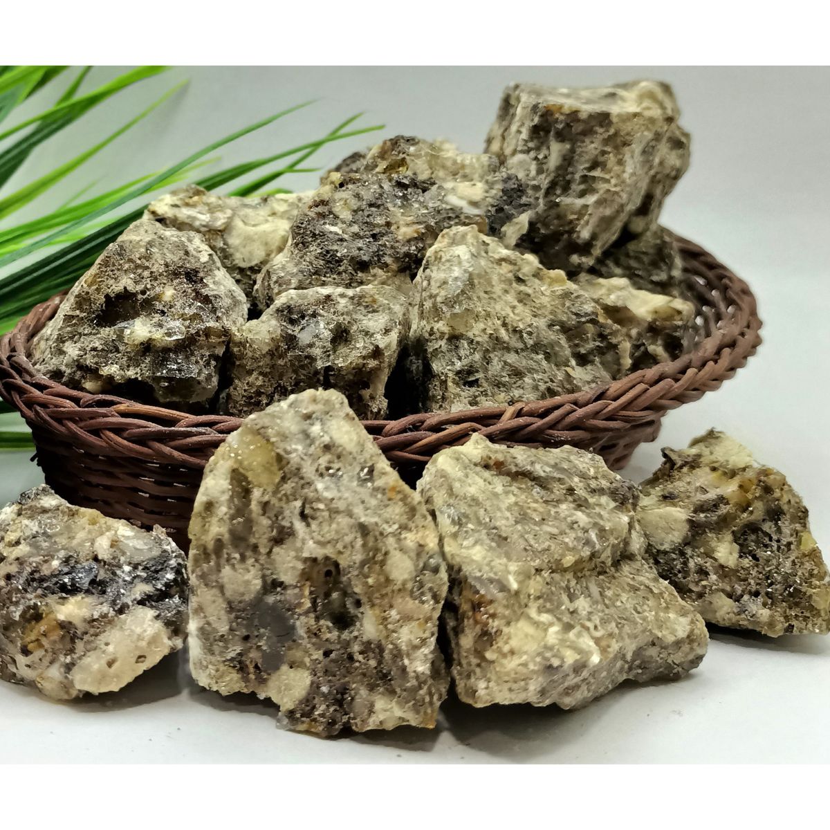 Singapore Loban Natural 100% Organic Incense Resin for Home Fragrance |Gum Benzoin for Aromatherapy & Air Purifying Sambrani Loban Dhoop for Daily Use