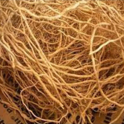 Organic Vetiver Root, Natural organic Herb, Chrysopogon zizanioides, Khus Khus, Dry Root, Vetiveria Zizanioides, Khas Jad, Khus Jad